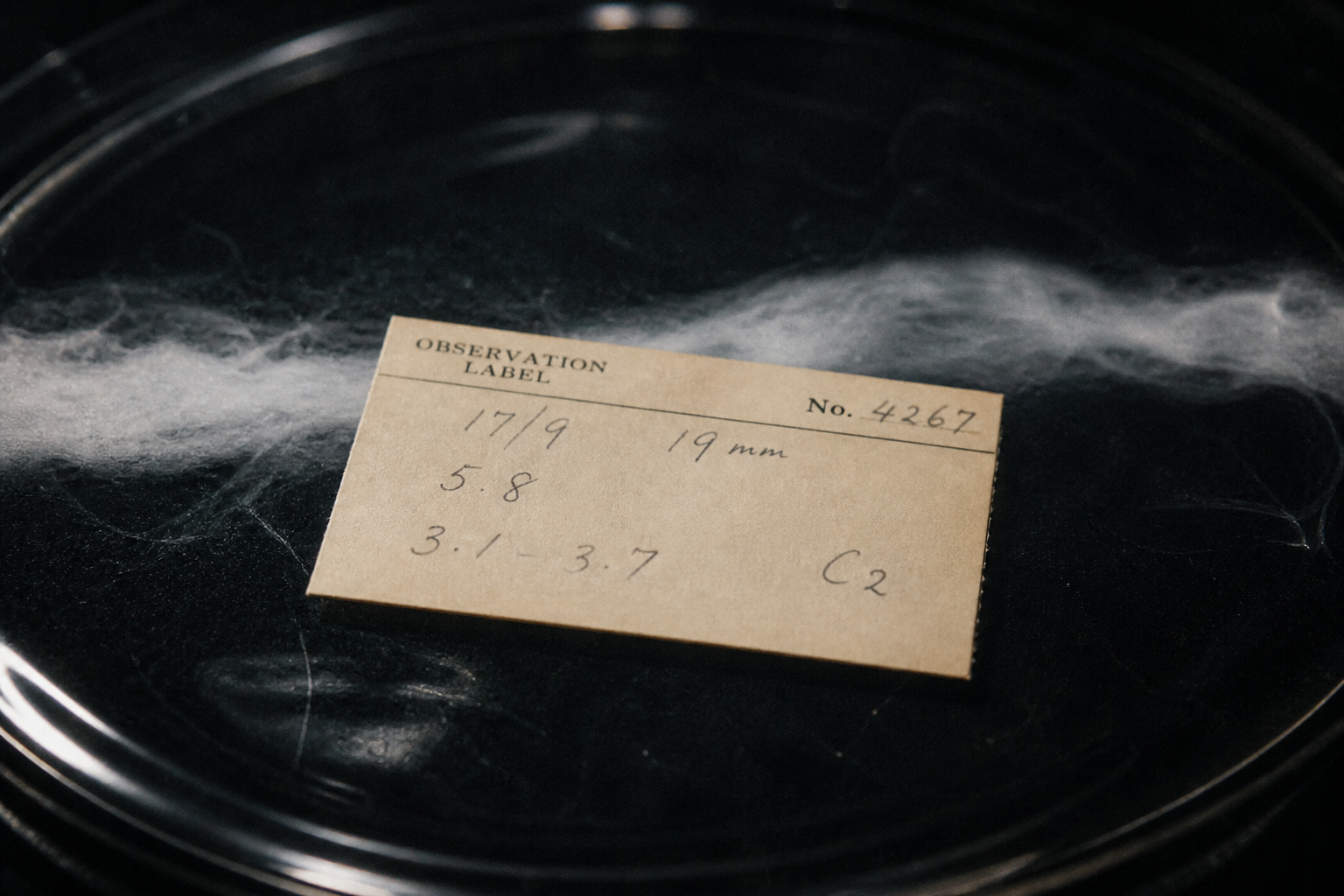 Aged cream exposure slip resting on dark observation glass
